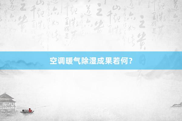 空调暖气除湿成果若何？